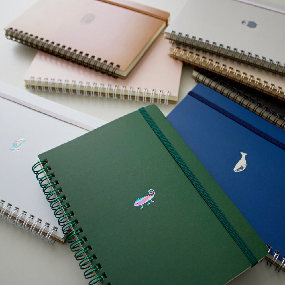 POINT ワンポイント リングノート B6｜おしゃれ かわいい 高校生 中学生 入学 シンプル 動物 ハリネズミ ドッグ ペンギン ダイナソー ウサギ｜MATOKA マトカ