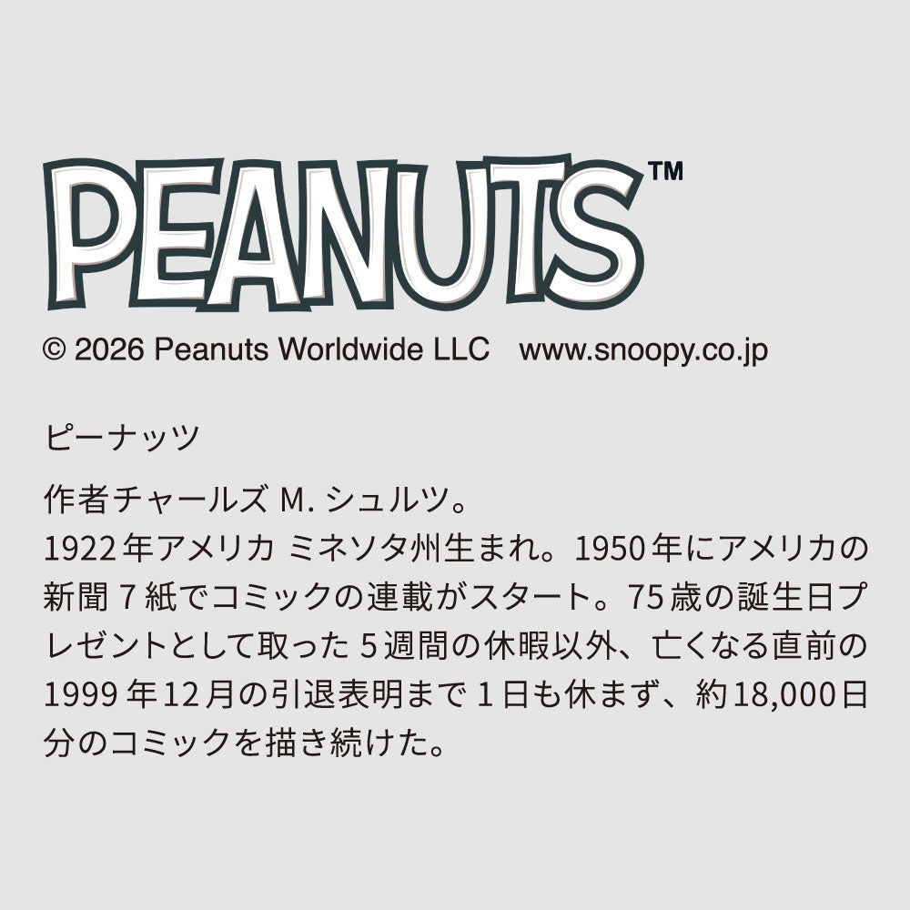 PEANUTS NEON LIGHT（House Mini） ｜スヌーピー ウッドストック Snoopy Woodstock おしゃれ かわいい ピーナッツ ネオン ライト 照明 インテリア 調整 壁掛け 卓上 2WAY LED USB 調光 パーティー 誕生日 お祝い イルミネーション 室内